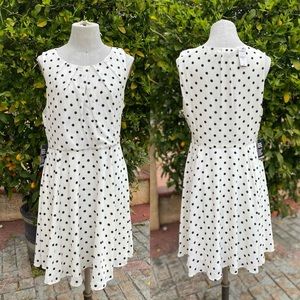 NEW Express Polka Dot Dress (Size 12)